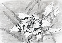 Ravenors Blume